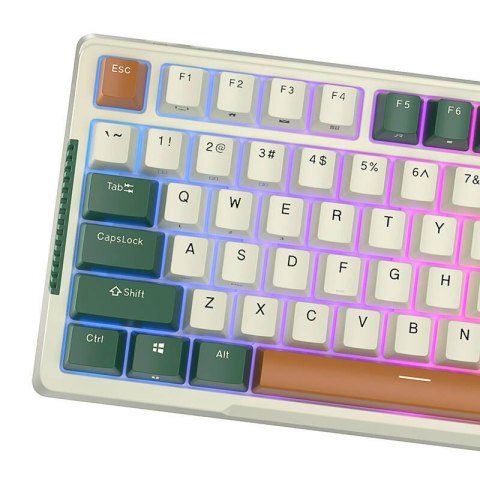 Bezprzewodowa klawiatura mechaniczna Royal Kludge RKH81 RGB, Sky cyan switch (zielona) Royal Kludge Bezprzewodowa klawiatura mechaniczna Royal Kludge RKH81 RGB, Sky cyan switch (zielona) Royal Kludge