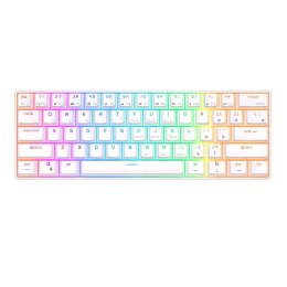 Klawiatura mechaniczna Royal Kludge RK61 RGB, brown switch (biała) Royal Kludge