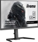 Iiyama G- Master GB2445HSU-B2 Black Hawk - 24'' | IPS | Full HD | 1ms | 100Hz