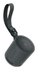 Sony SRS-XB100 Czarny Sony
