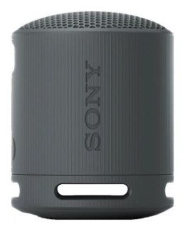 Sony SRS-XB100 Czarny Sony