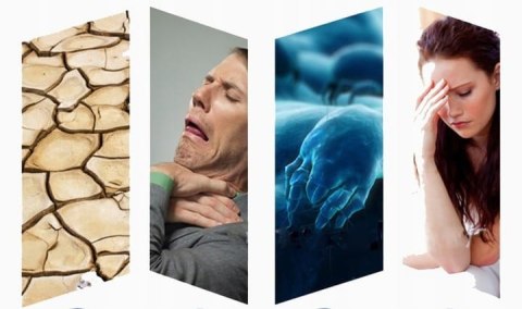 Nawilżacz powietrza Warmtec Mist Up Nawilżacz powietrza Warmtec Mist Up